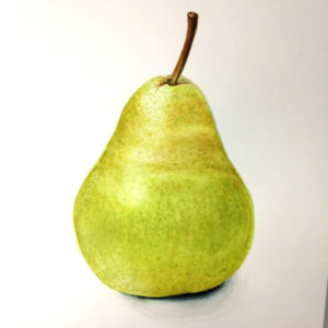 Anna mason pear student sample