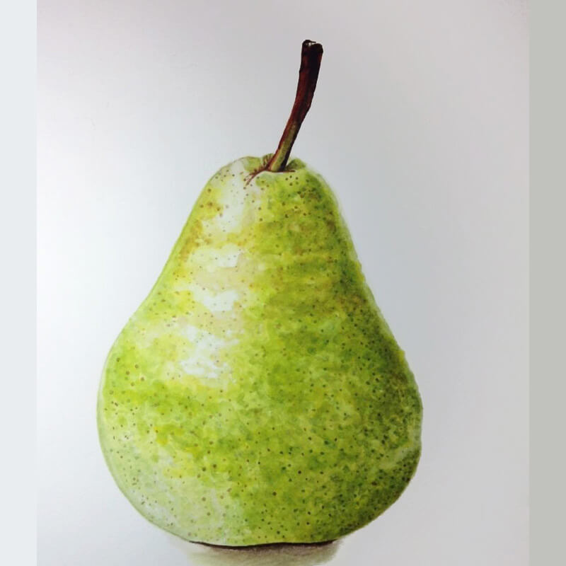 Anna mason pear student sample
