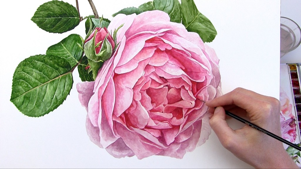 How-to-paint-a-realistic-rose-flower-in-watercolour