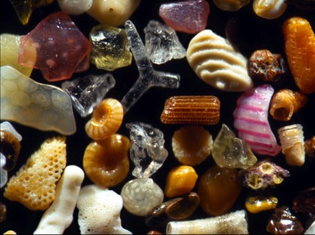 Sand grains a 10th of a Millimetre in size from Maui